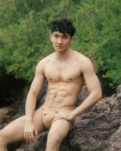 PalmeryGom เฟส