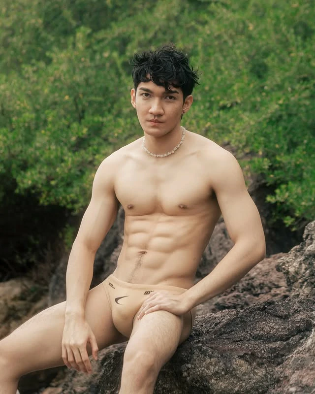 PalmeryGom เฟส